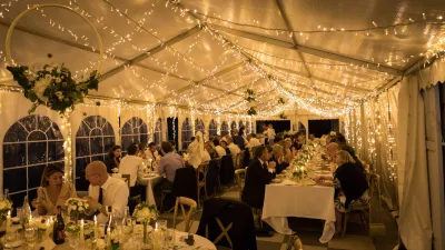 wedding party in paris