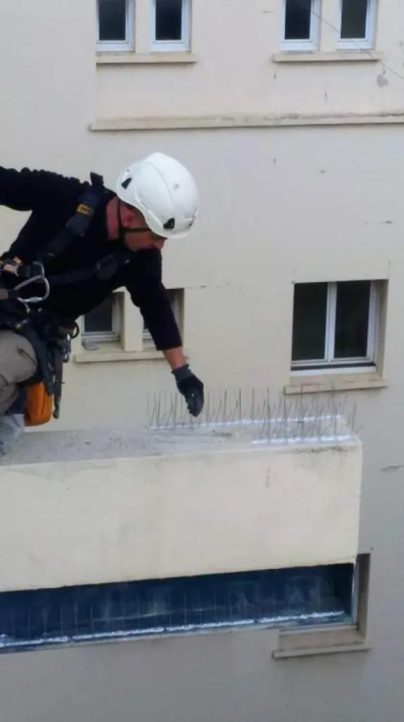 anti pigeon marseille travaux acro