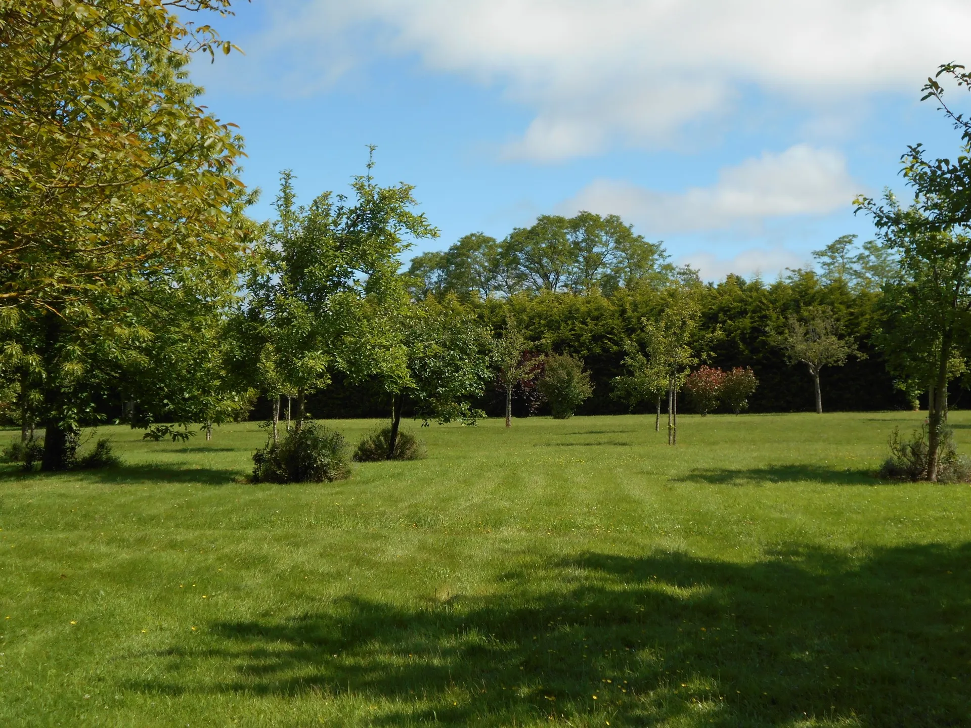 MAISON AVEC 1 HECTARE DE TERRAIN LISIEUX, 14100 CALVADOS