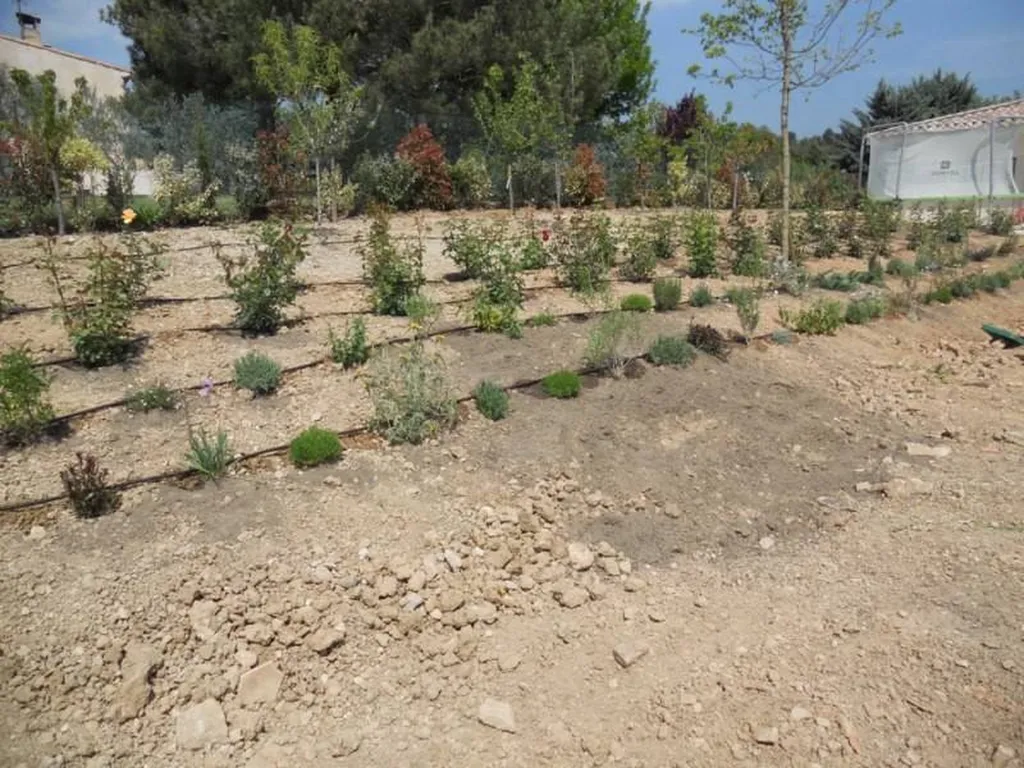 Création d'un massif par l'entreprise Les Jardins de Romain de Fuveau.