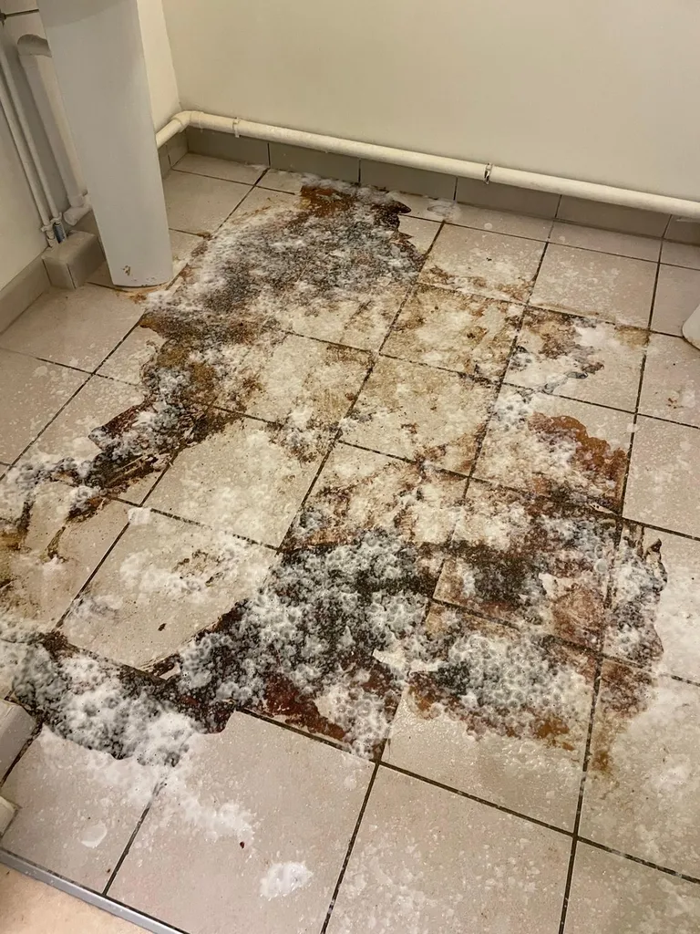 Pendant notre intervention