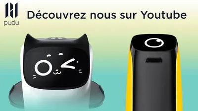 KettyBot et BellaBot en vidéos