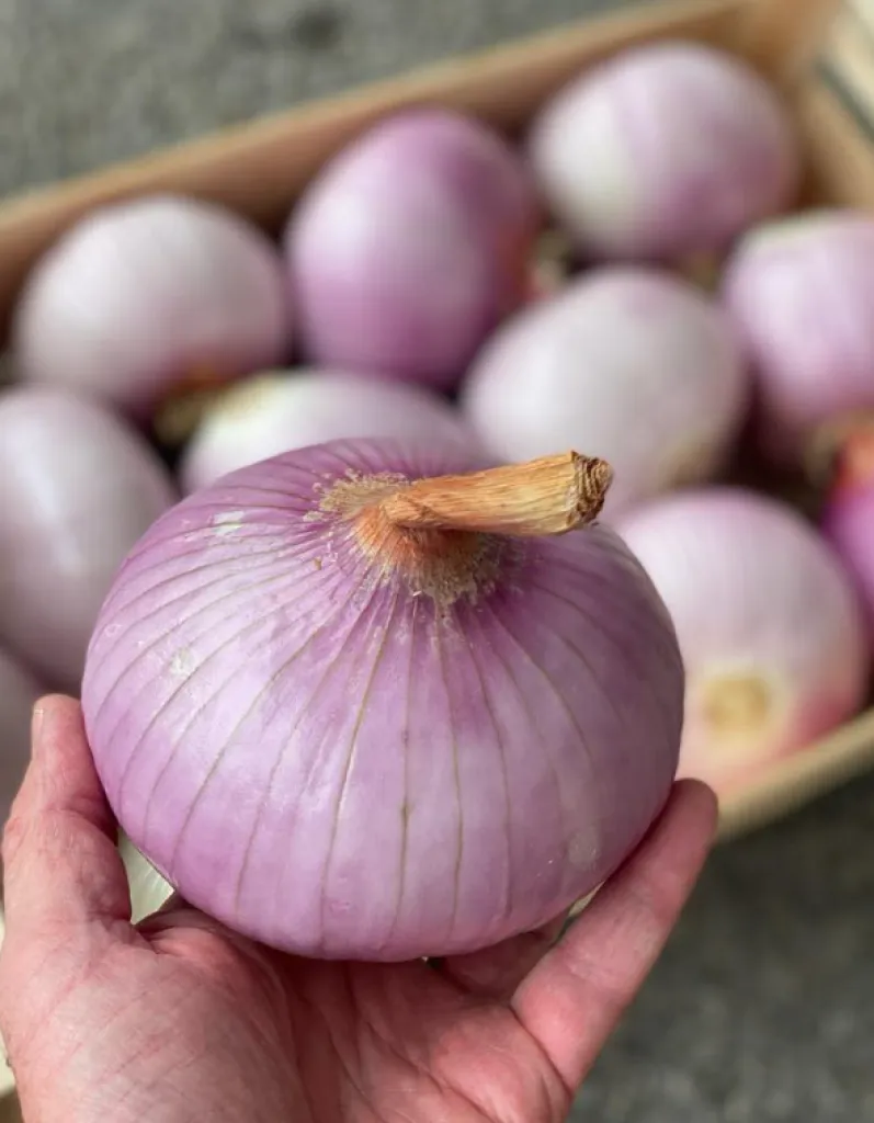 votre jardin provençale à ma ferme proche d'eguilels