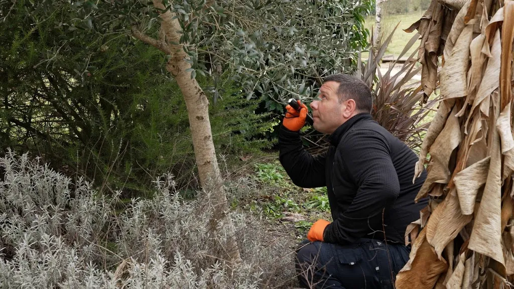 Dératisation professionnelle pour particuliers et professionnels à Muret et Portet-sur-Garonne : élimination durable des rats et souris