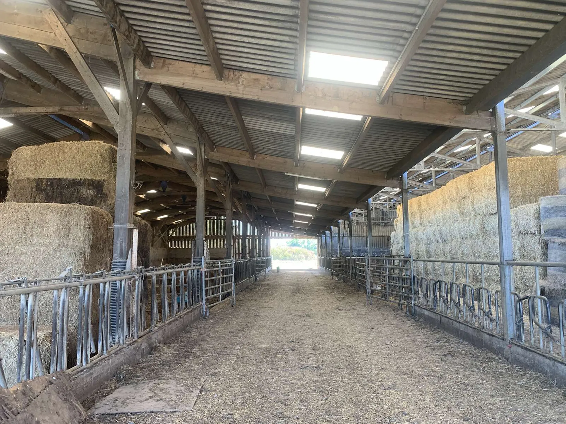 A VENDRE dans le CALVADOS région BESSIN, exploitation agricole de 101 ha
