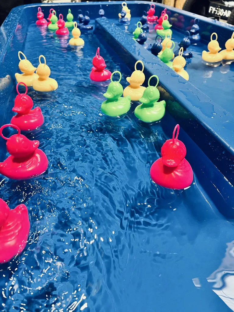 Location pêche aux canards au havre 76