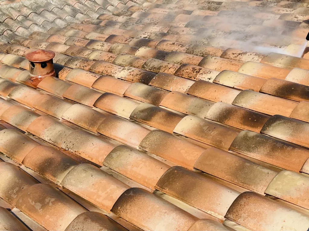 Nettoyage et traitement de tuiles mécaniques Abeilles sur Bouc Bel Air près de Aix en Provence 