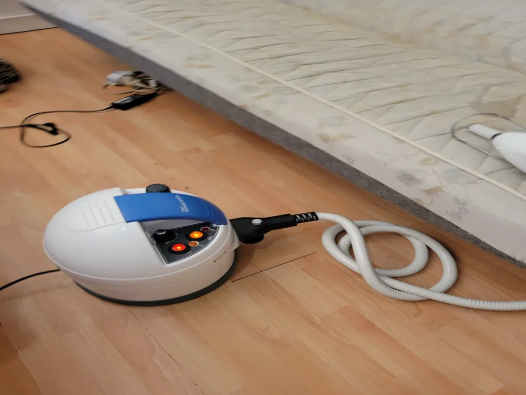 Désinsectisation des punaises de lit à la vapeur sèche à Lyon et sa région