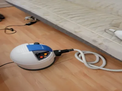 Désinsectisation des punaises de lit à la vapeur sèche à Lyon et sa région