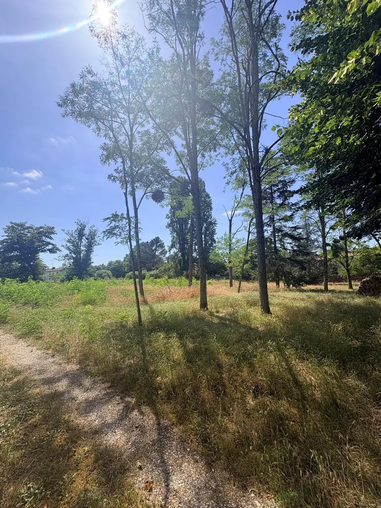 Terrain viabilisé de 648 m² sur l'agréable commune de Landiras, proche de Langon et de l'accès autoroute