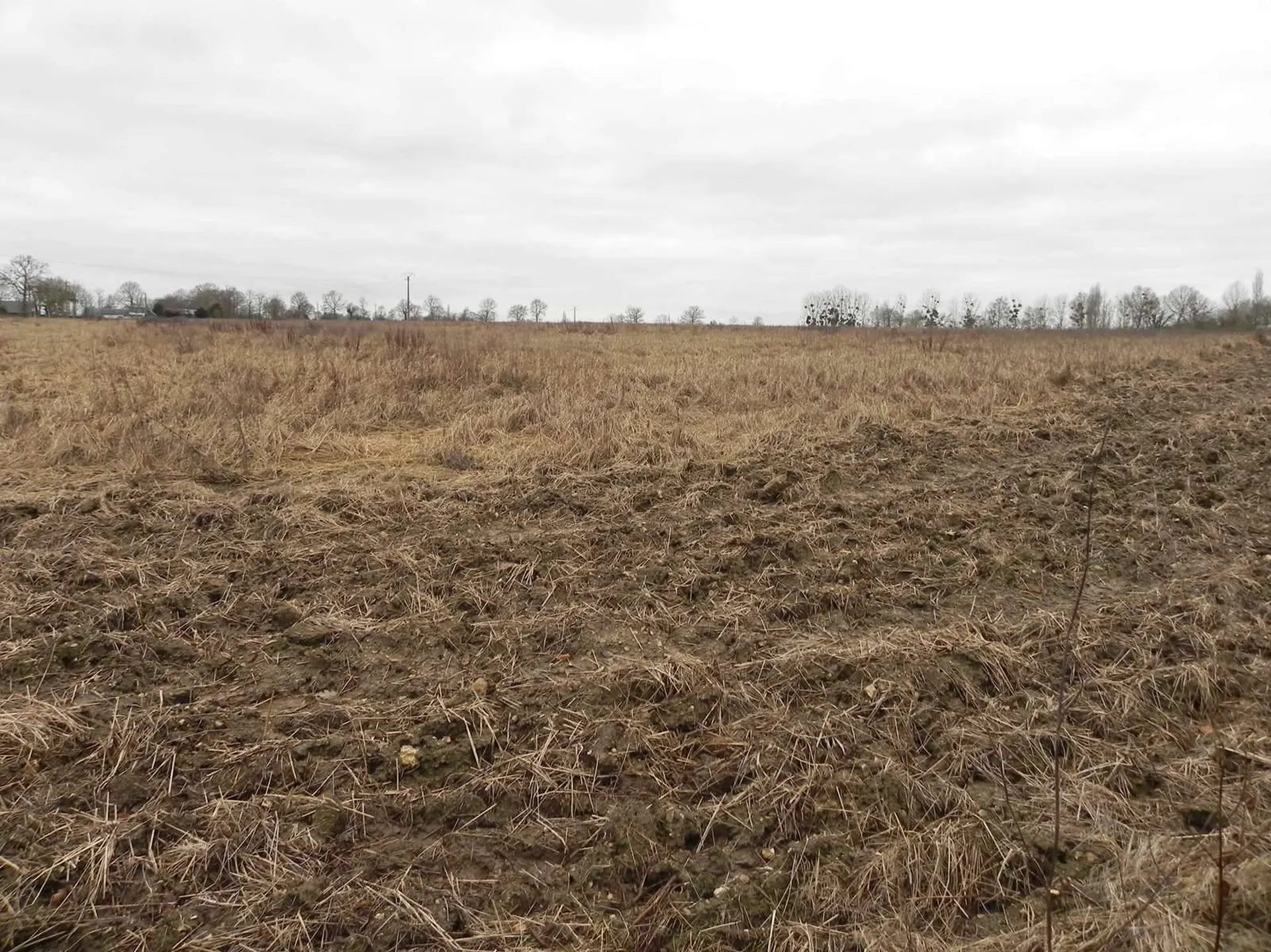 PAYS D'AUGE Entre LISIEUX et CAMBREMER (CALVADOS) A vendre TERRAIN AGRICOLE : 8HA 65A