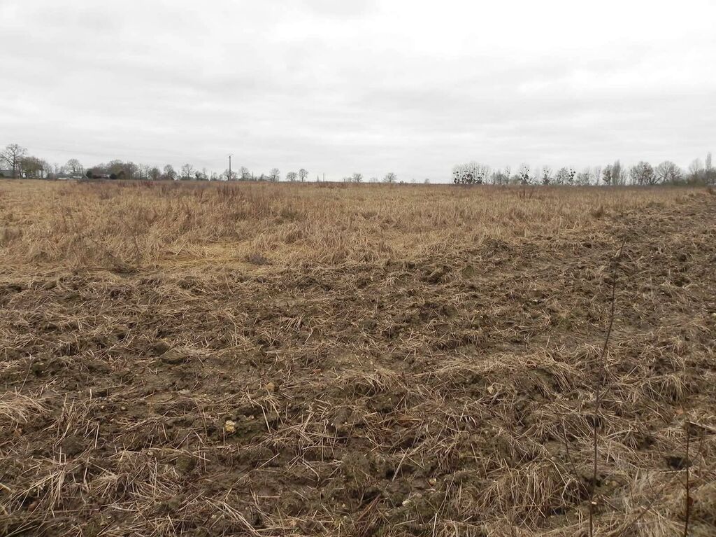 PAYS D'AUGE Entre LISIEUX et CAMBREMER (CALVADOS) A vendre TERRAIN AGRICOLE : 8HA 65A