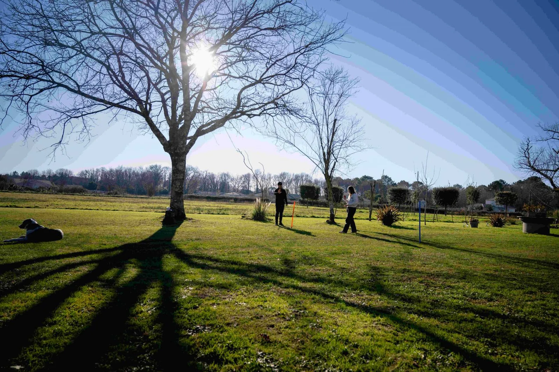 comment devenir educateur canin en gironde 