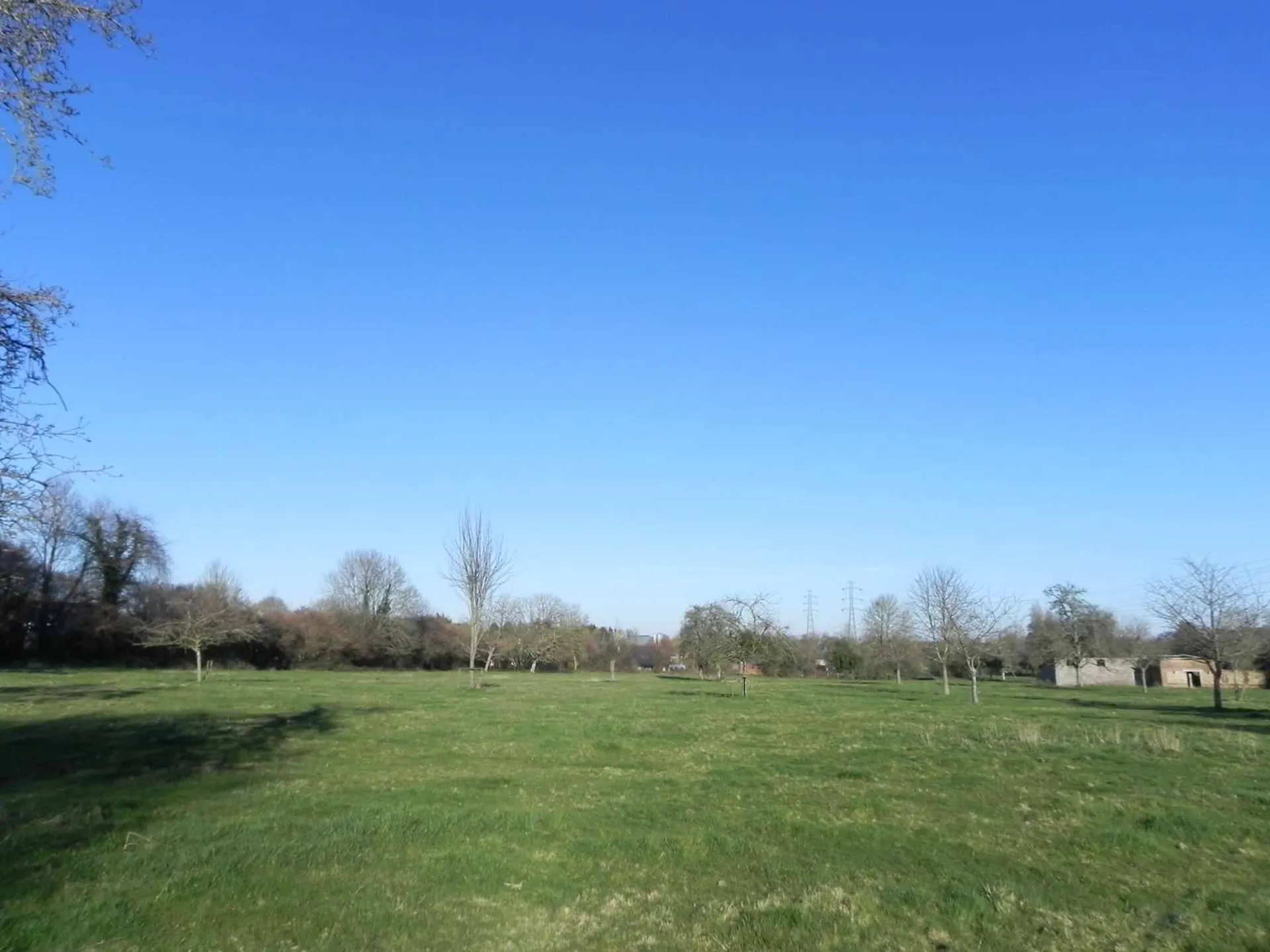 A vendre dans le PAYS D'AUGE (CALVADOS)  Secteur de MOYAUX (14590) Terrain agricole