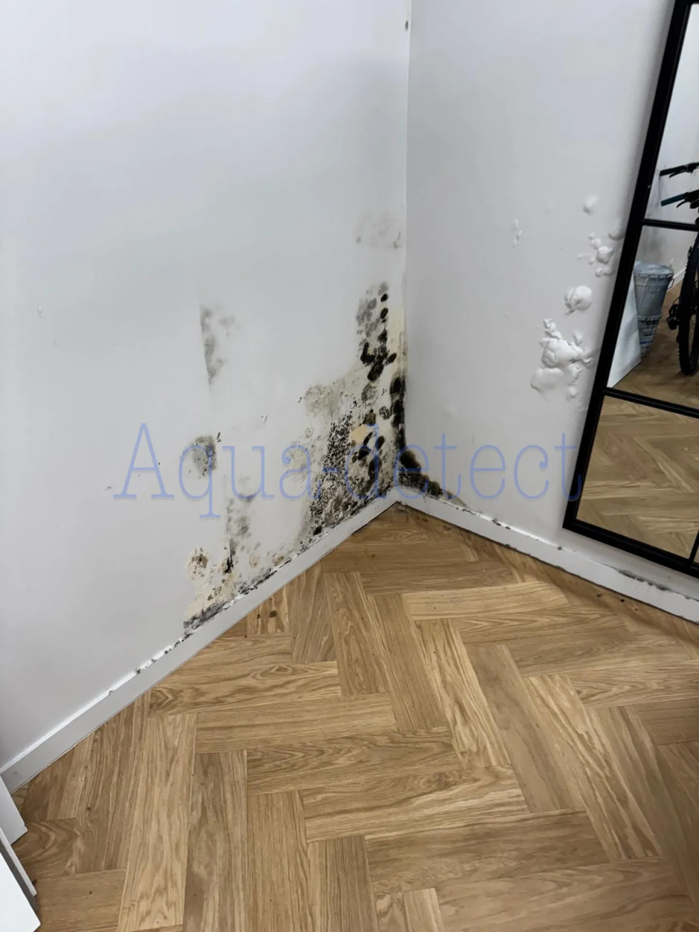 AQUA-DETECT spécialiste dans la recherche de fuite à l'intérieur des maisons et des appartements
