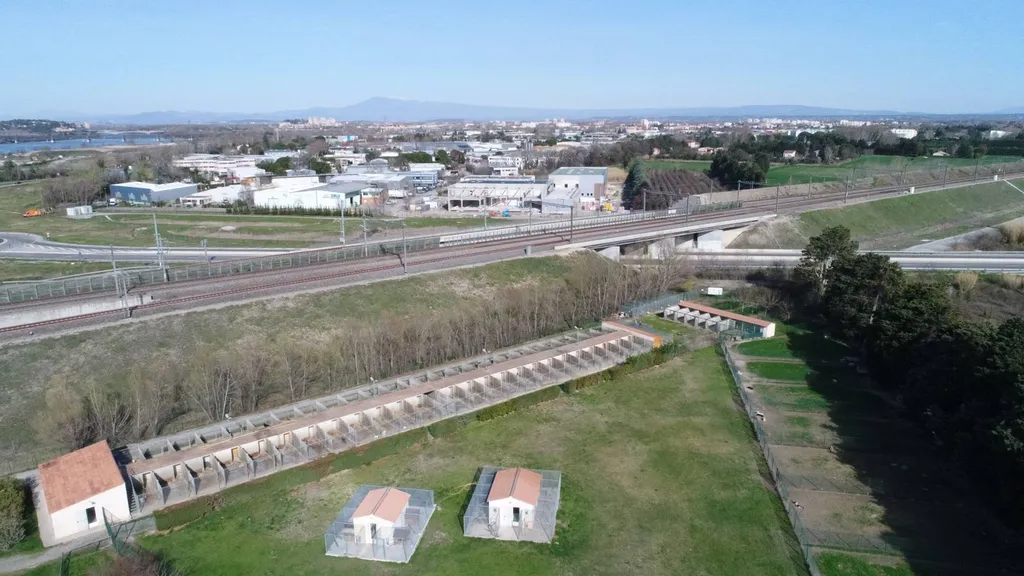 Cany Express : élevage et pension pour chiens et chats depuis plus de 40 ans sur Avignon