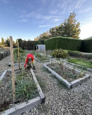 Remise en état et plantations de saison à Eygalières, 13810, pour un jardin revitalisé, à l’image des paysages des Alpilles
