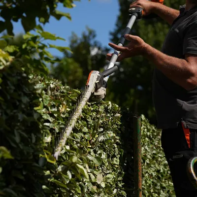 Équipe Carré Vert en intervention de taille à Saint-Rémy-de-Provence (13210)