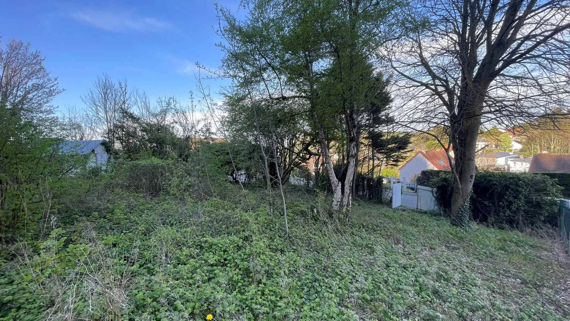 Terrain constructible en Seine-Maritime : Vue dégagée sur la mer : Opportunité rare de construire votre résidence avec une vue imprenable.