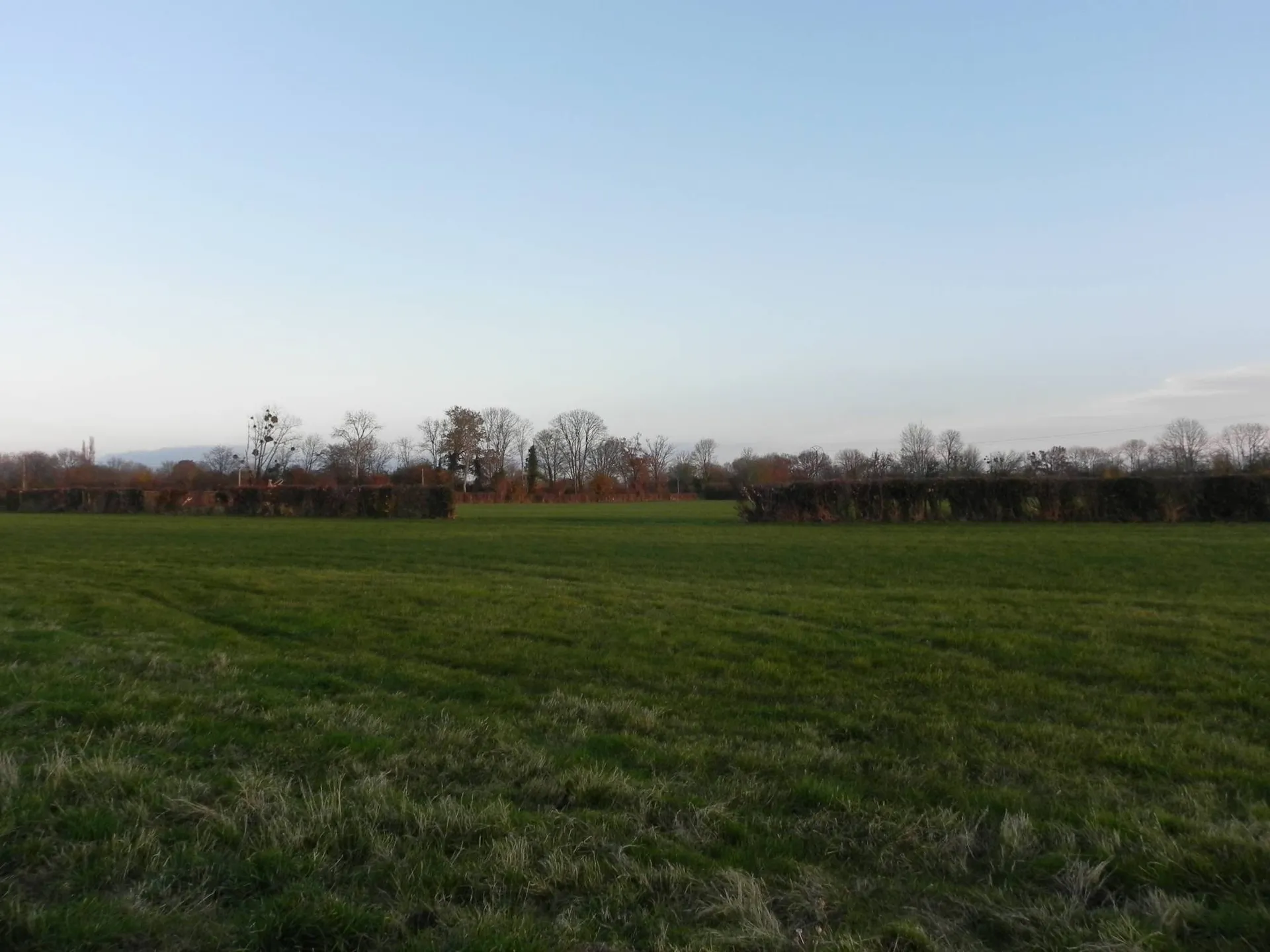 CALVADOS (14) - SUD PAYS D'AUGE - Région LIVAROT : Propriété avec 19 ha de terrain agricole