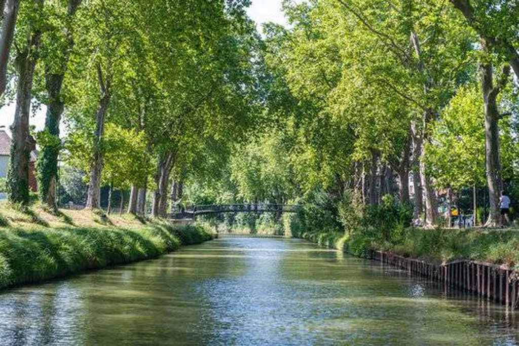 Camping et Canal du Midi proche de Marseillan
