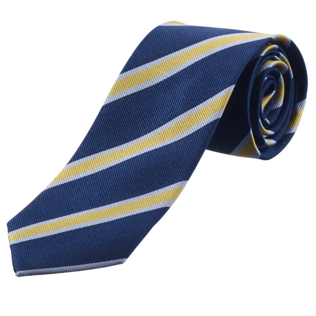 cravate e-commerce RAYURE MARINE OR