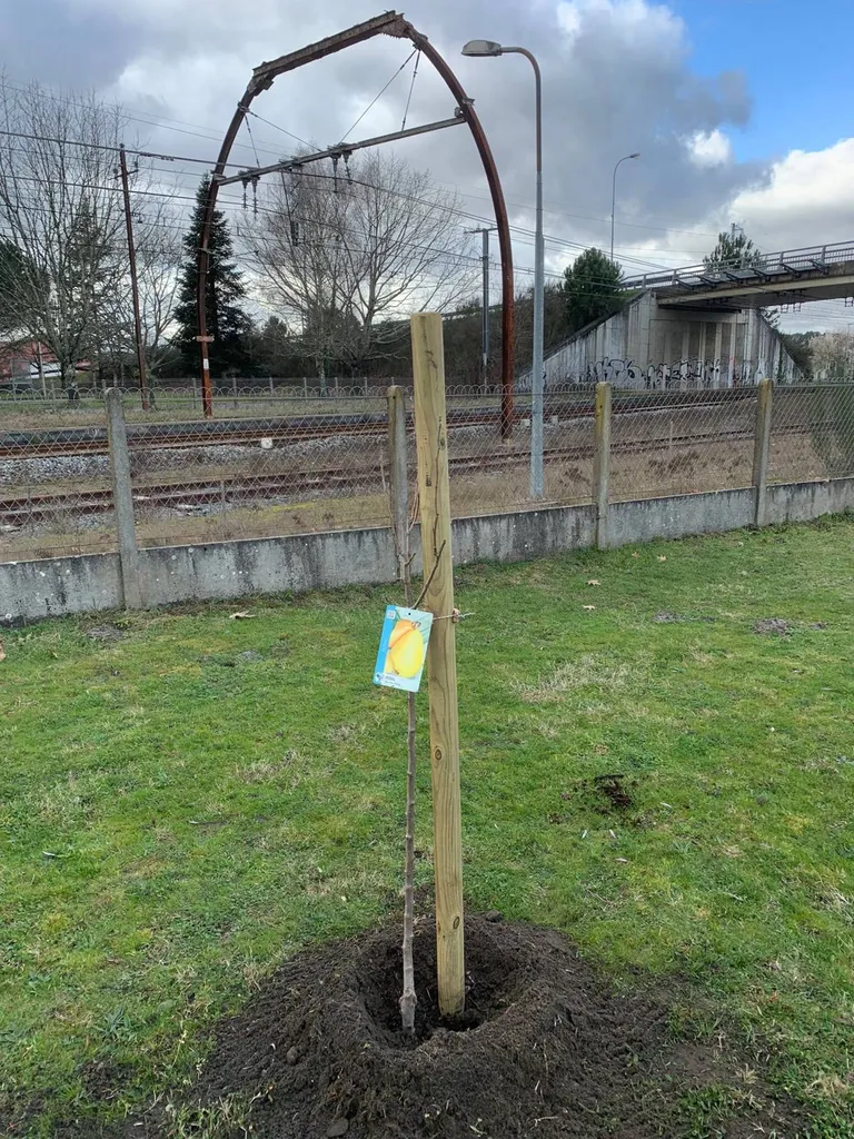 Paysagiste pour arbres et arbustes fleuris : pourquoi le choisir à Parentis-en-Born