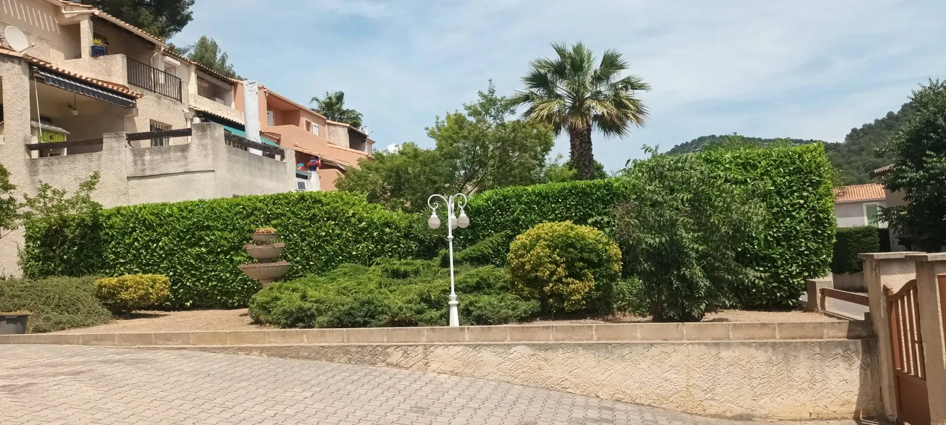 Taile haie Aubagne par paysagiste