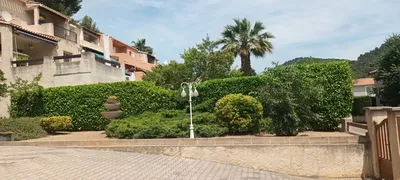 Taile haie Aubagne par paysagiste