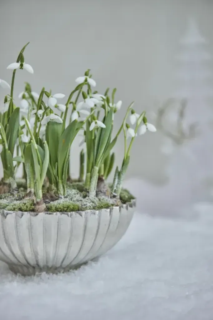 Revendeur officiel LENE BJERRE DESIGN à Pertuis proche d'Aix en Provence