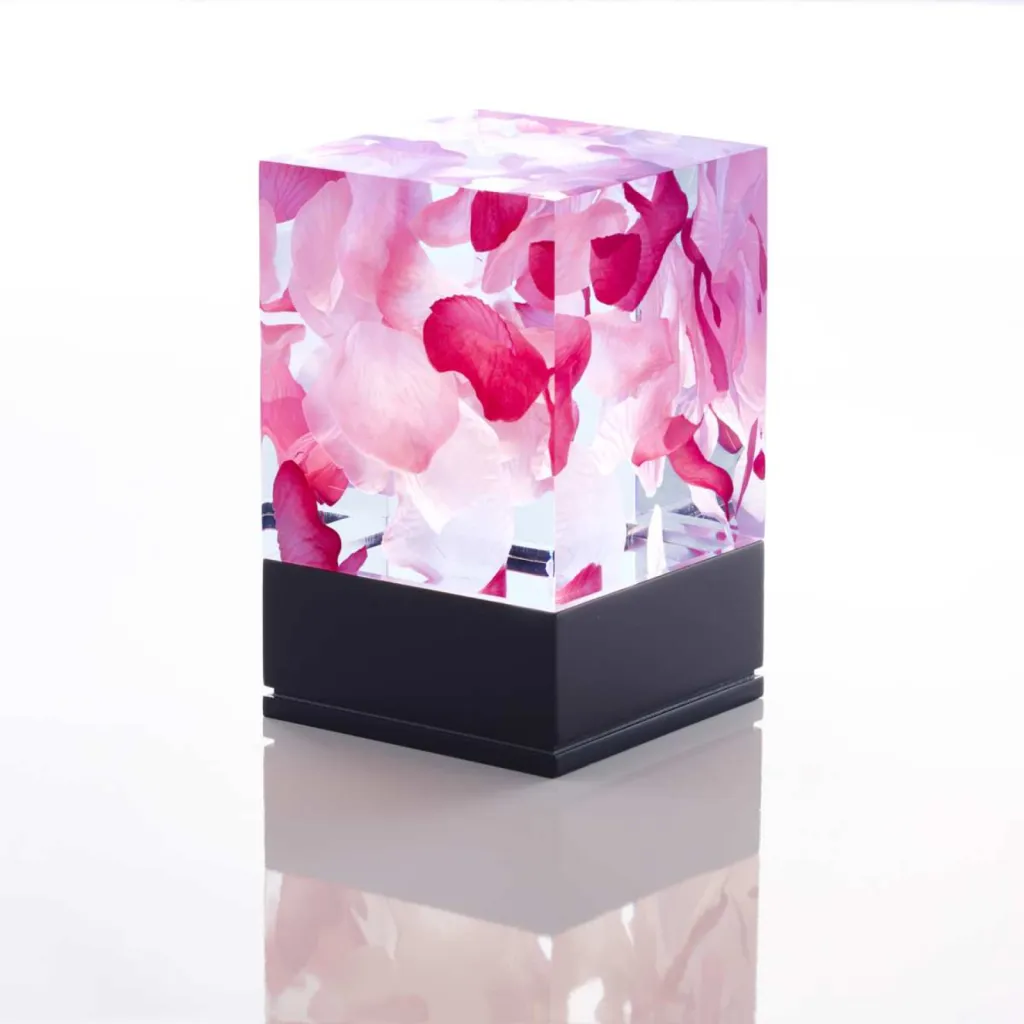 photo lampe design la D-cüb roses fond blanc socle noir