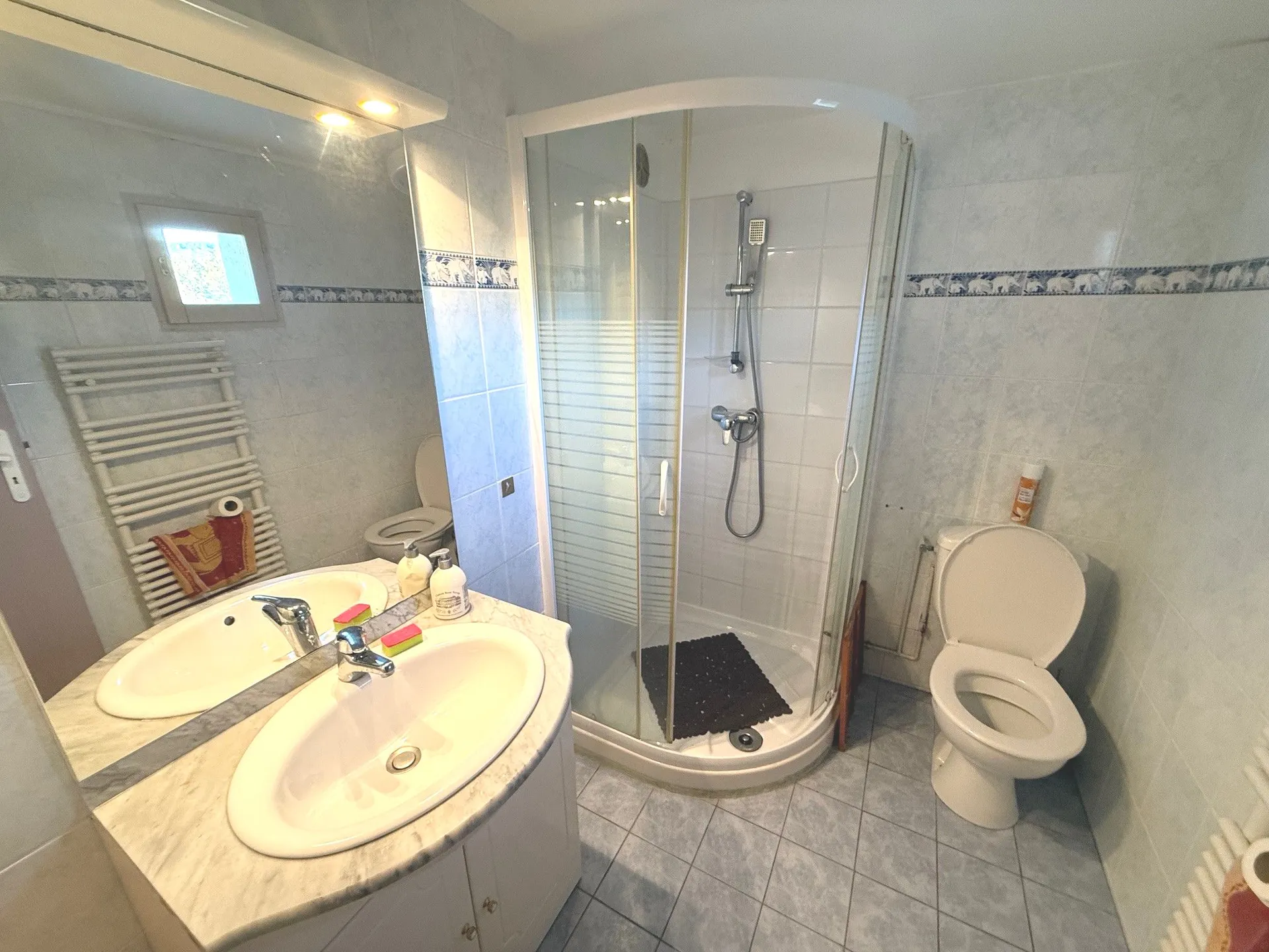 salle d'eau au rez de jardin