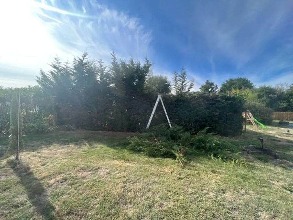 Choisir un paysagiste pour rabattre une haie de cyprès à Gastes