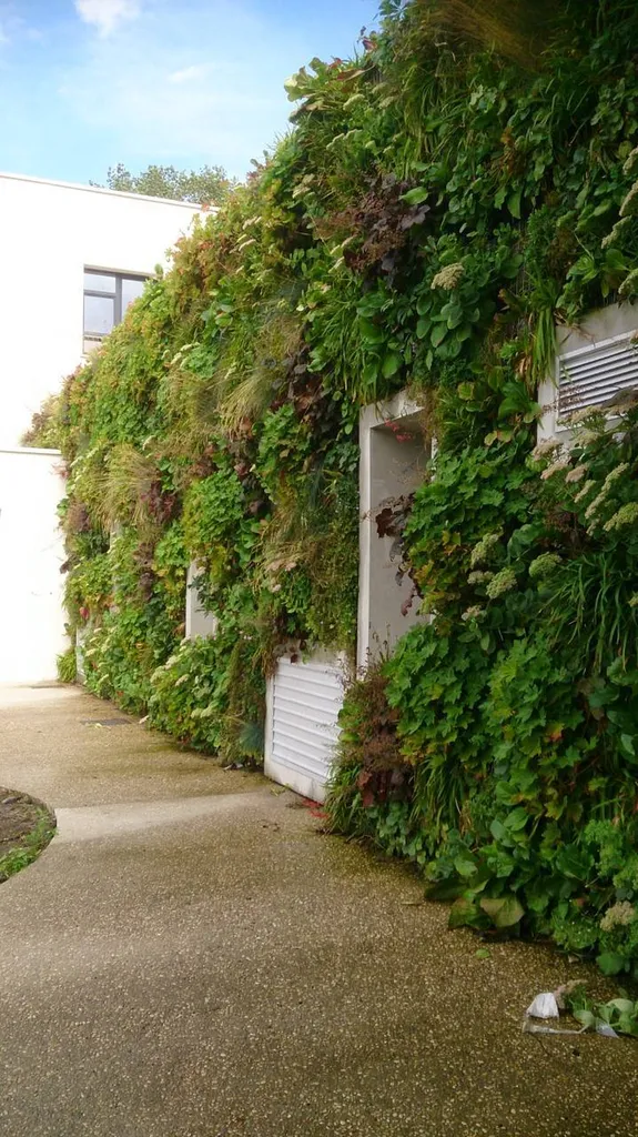 Création de murs végétalisés près de Biscarrosse par Évolution Paysage : esthétique et écologie