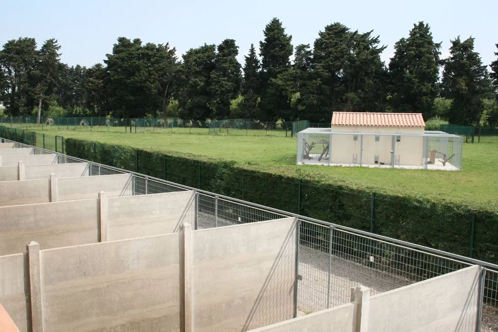 Garde d'animaux  PENSION CANINE ET FELINE au chenil CANY EXPRESS, situé à Avignon.