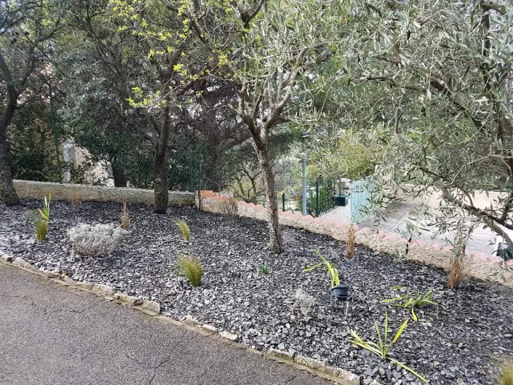 Plantes endémiques sur paillettes d'ardoise