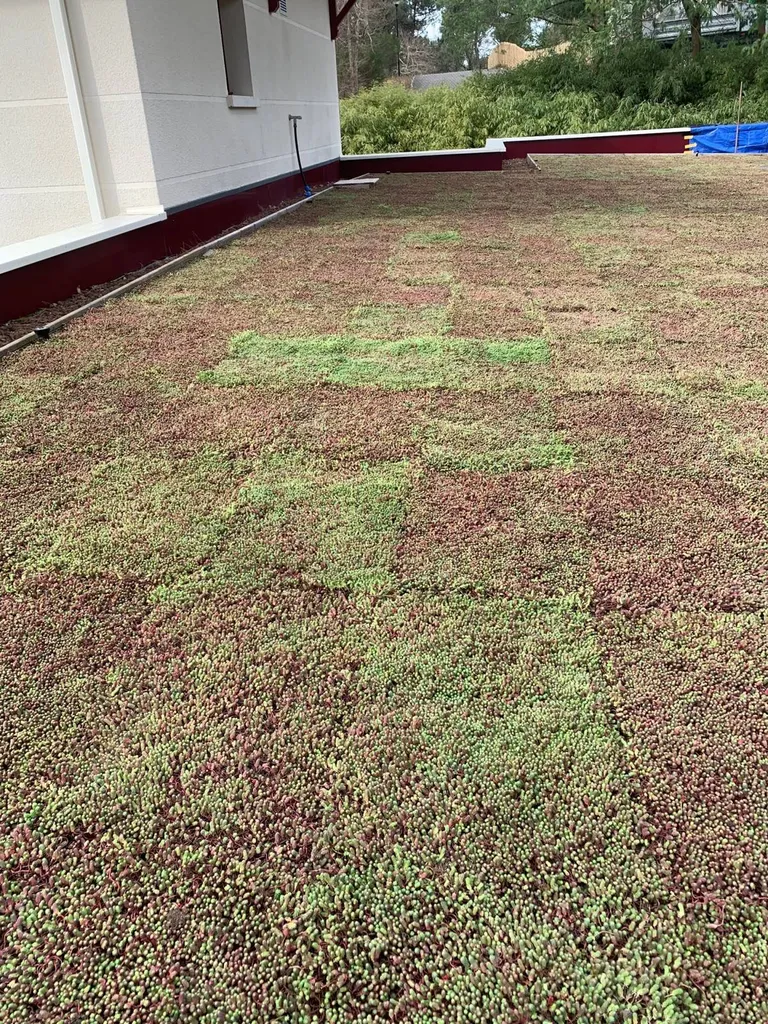 Faire installer une toiture végétalisée par Evolution Paysage près de Mimizan