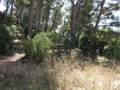 Vente maison la ciotat