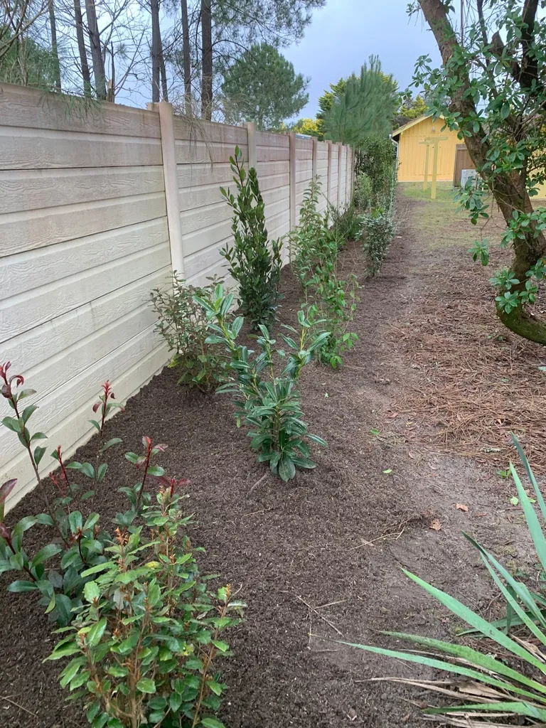 Choisir une entreprise expérimentée pour la plantation d'arbustes à mimizan