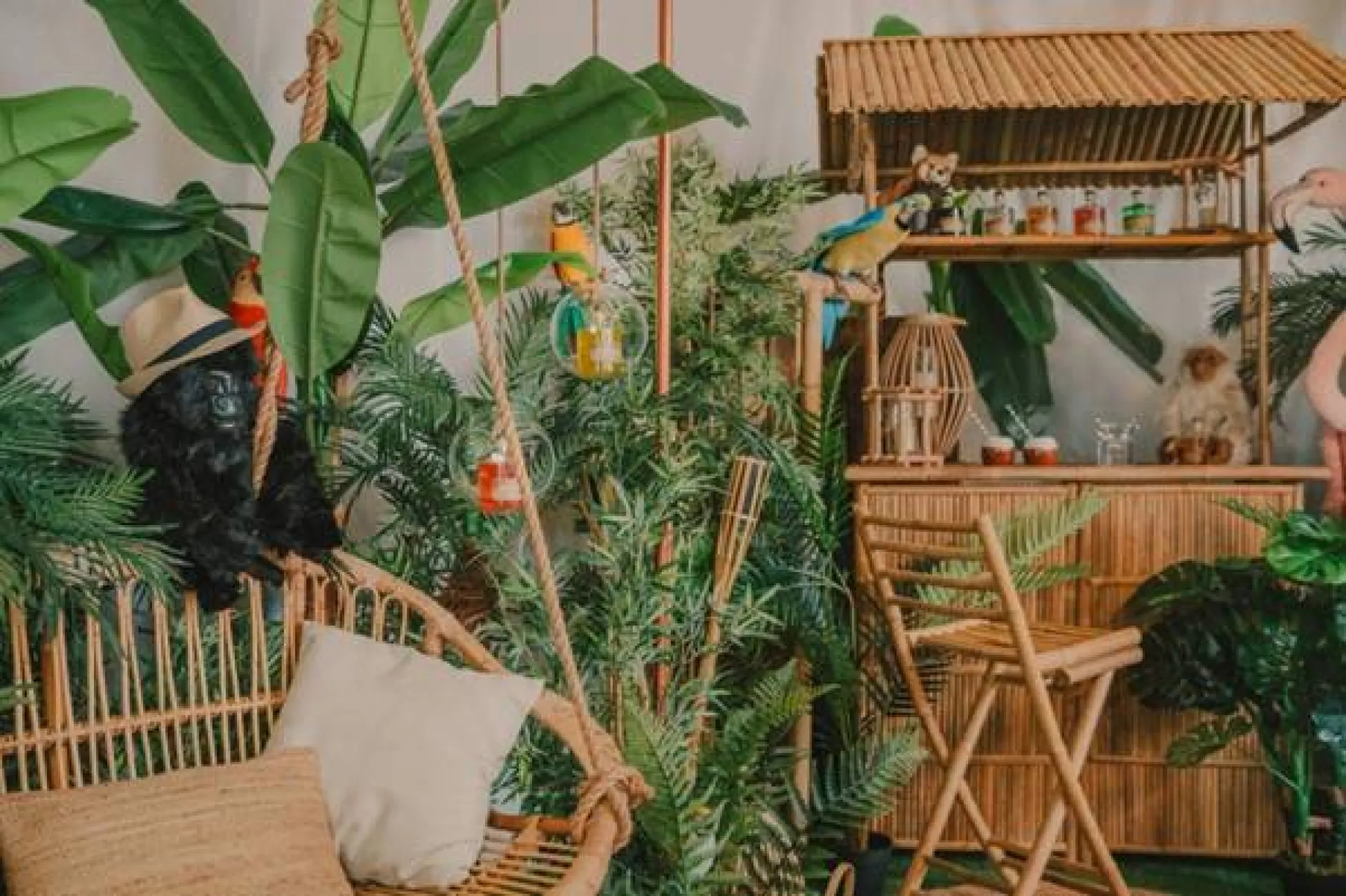 Agence pour scénographie et mise en scène de produits pour shoppings promotionnels sur la côte du Pays Basque à Biarritz