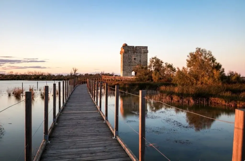 Safari 4x4 pour séminaire à Aigues-Mortes incluant la visite de la Tour Carbonnière et une vue panoramique dans le Gard