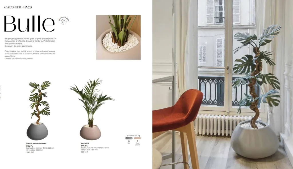 Aménagement de plantes pour Bureaux à Montpellier