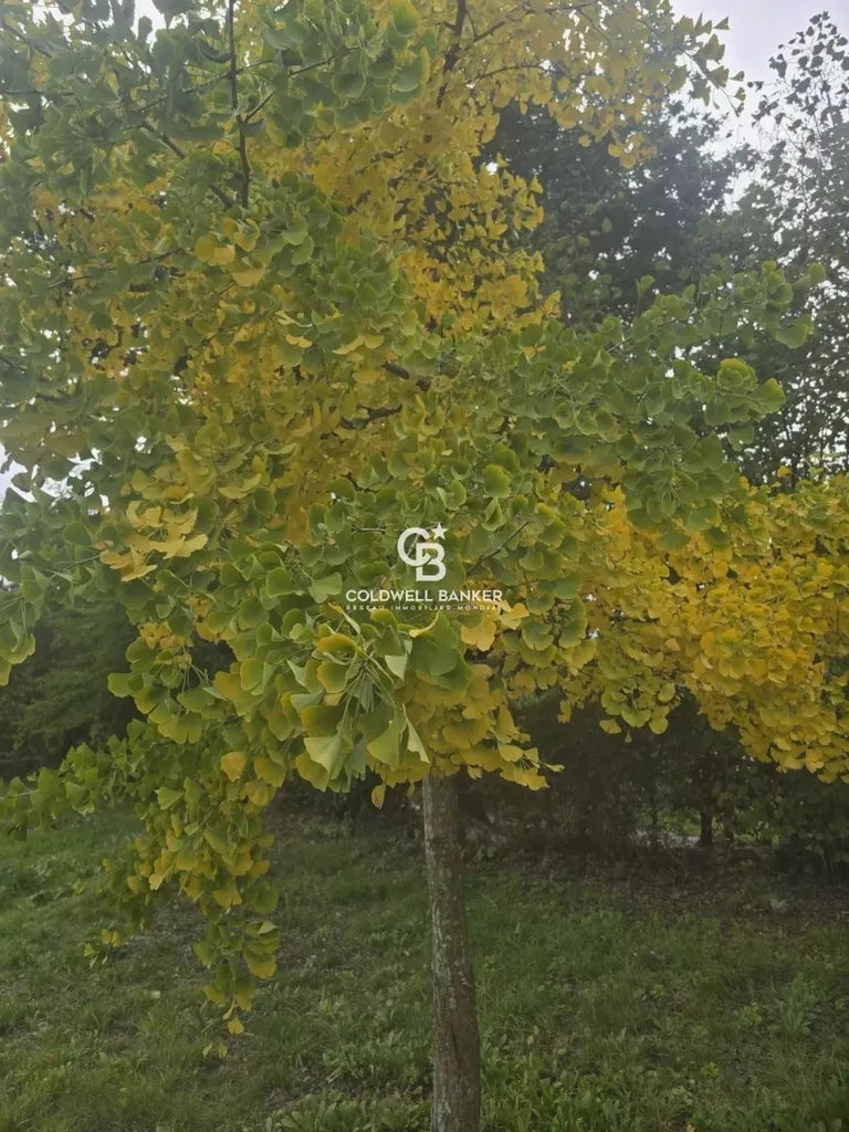 agence immobiliere le mans et la sarthe