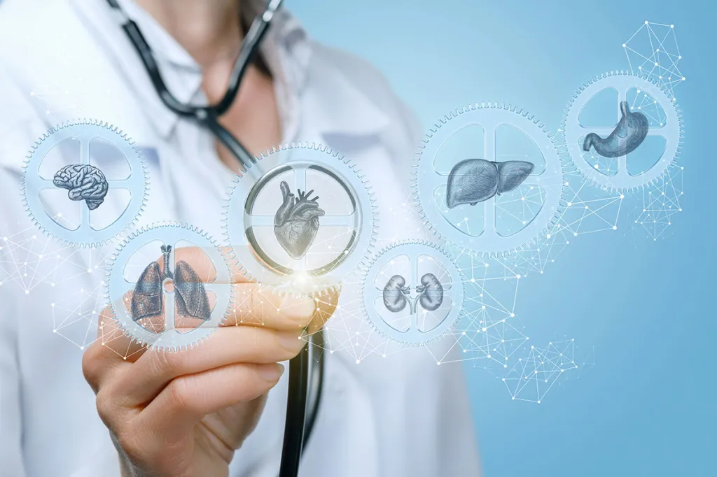 Tout le matériel médical en livraison rapide dans la France entière