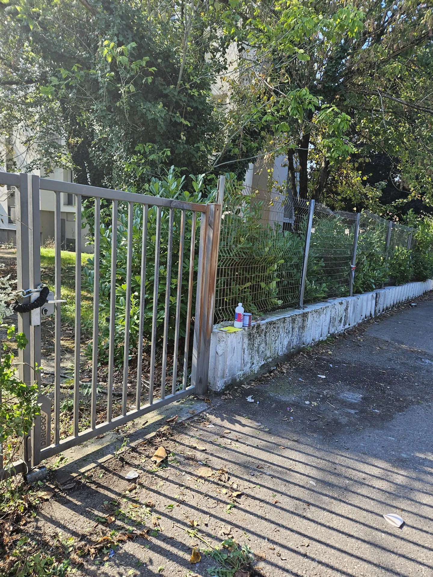 Devis pour remise en état de muret et de grillage d'une copropriété à Lyon après une dégradation de la peinture