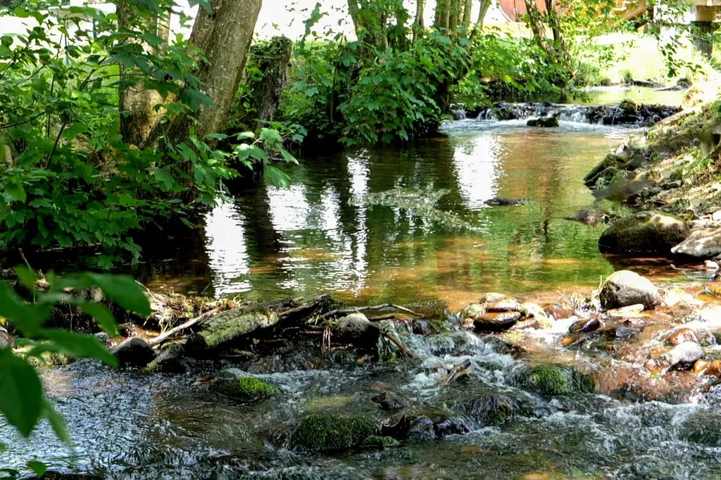 Domaine pour mariage avec hébergement et réception dans un cadre naturel en Alsace