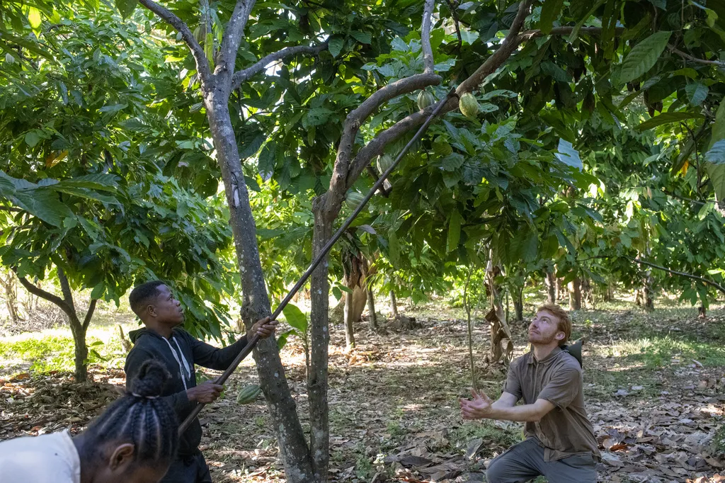 De Madagascar à Marseille, l’histoire d’un chocolat d’exception né d’un amour pour la terre et les hommes
