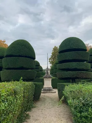 Carré Vert votre paysagiste pour l'entretien de vos jardins dans les alpilles et alentours 13210