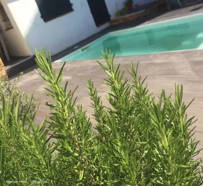 Agence d'architecture d’intérieur pour travaux de rénovation et extension dans une villa de Allauch végétaux