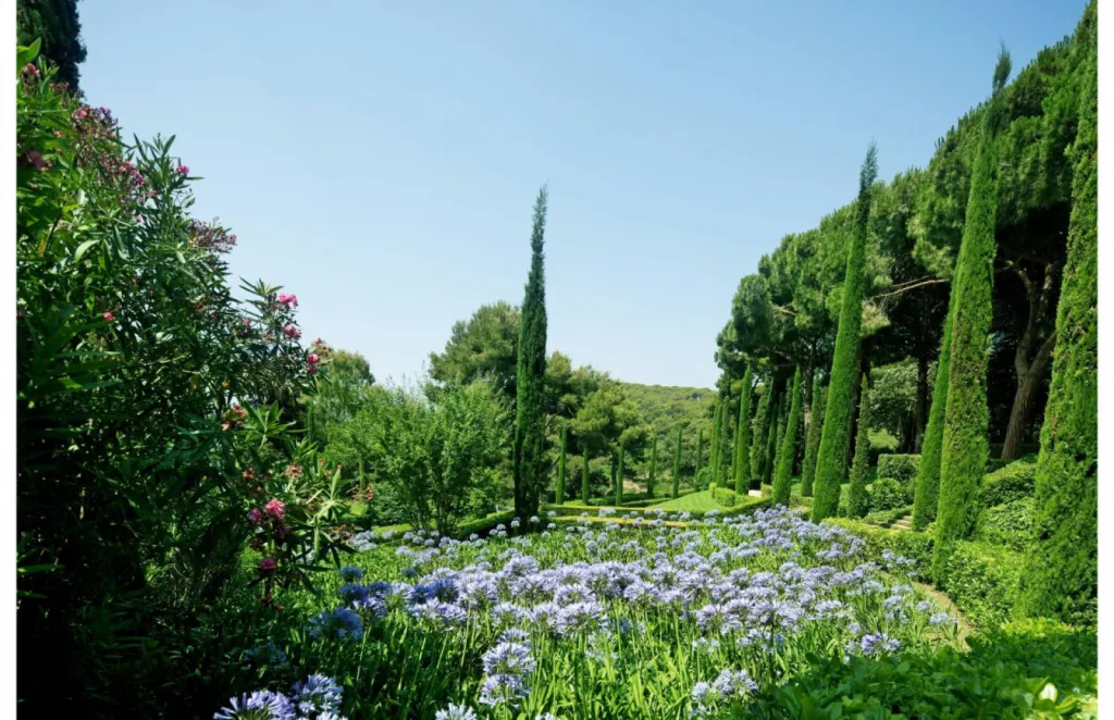 Entreprise paysagiste spécialiste de la création d’espace vert personnalisé à Saint Rémy de Provence